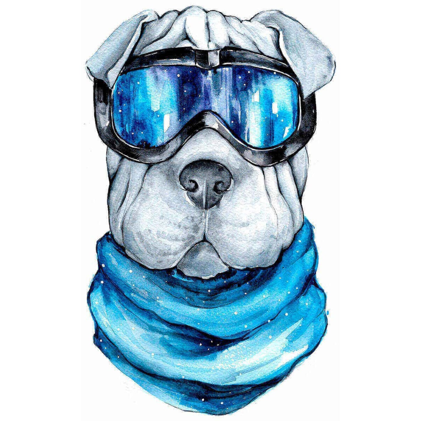 Sharpei