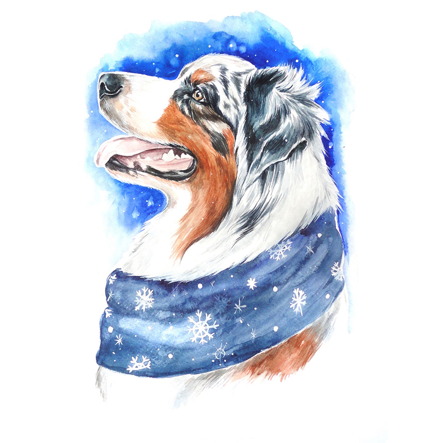 Winter Dog