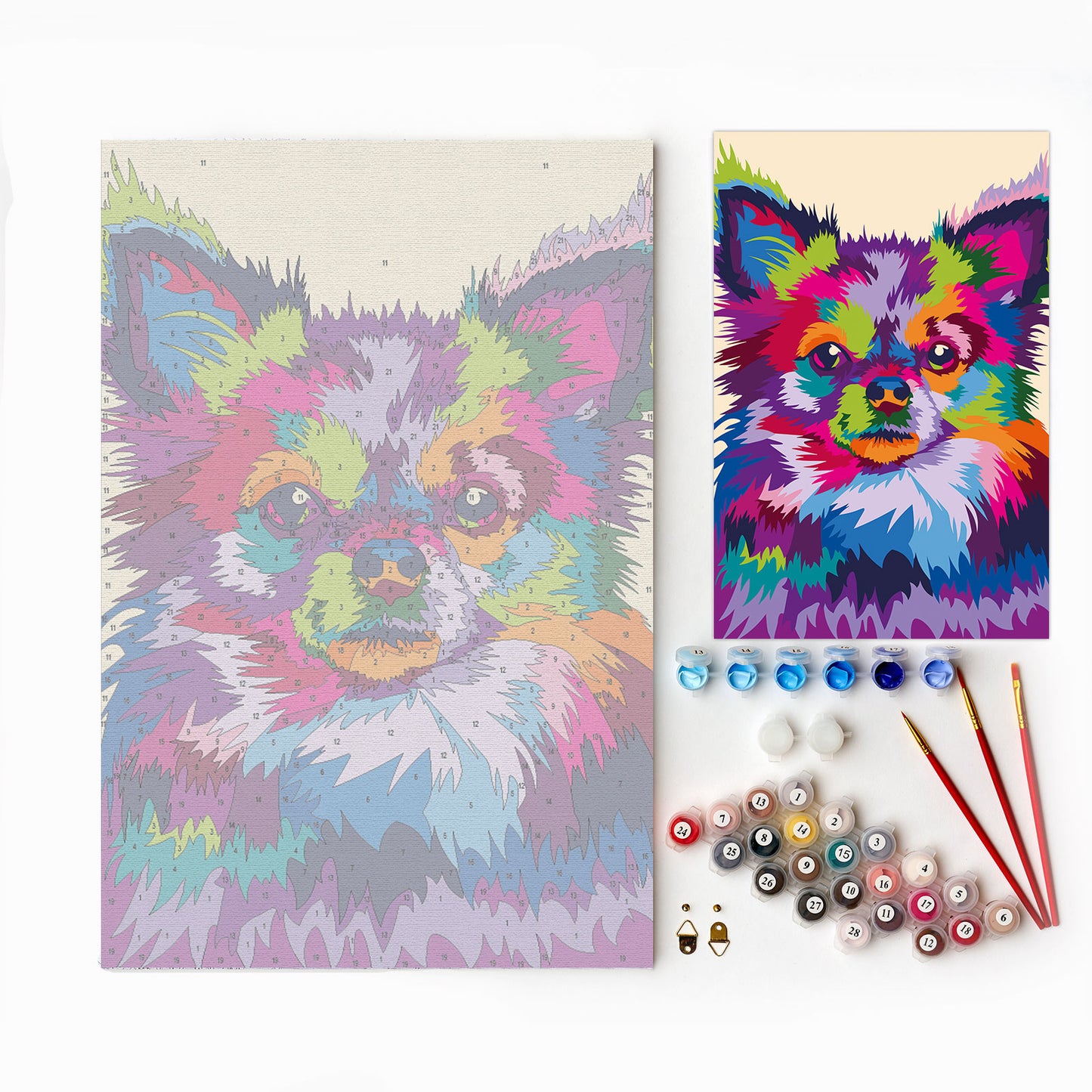 Through the Eyes of a Chihuahua