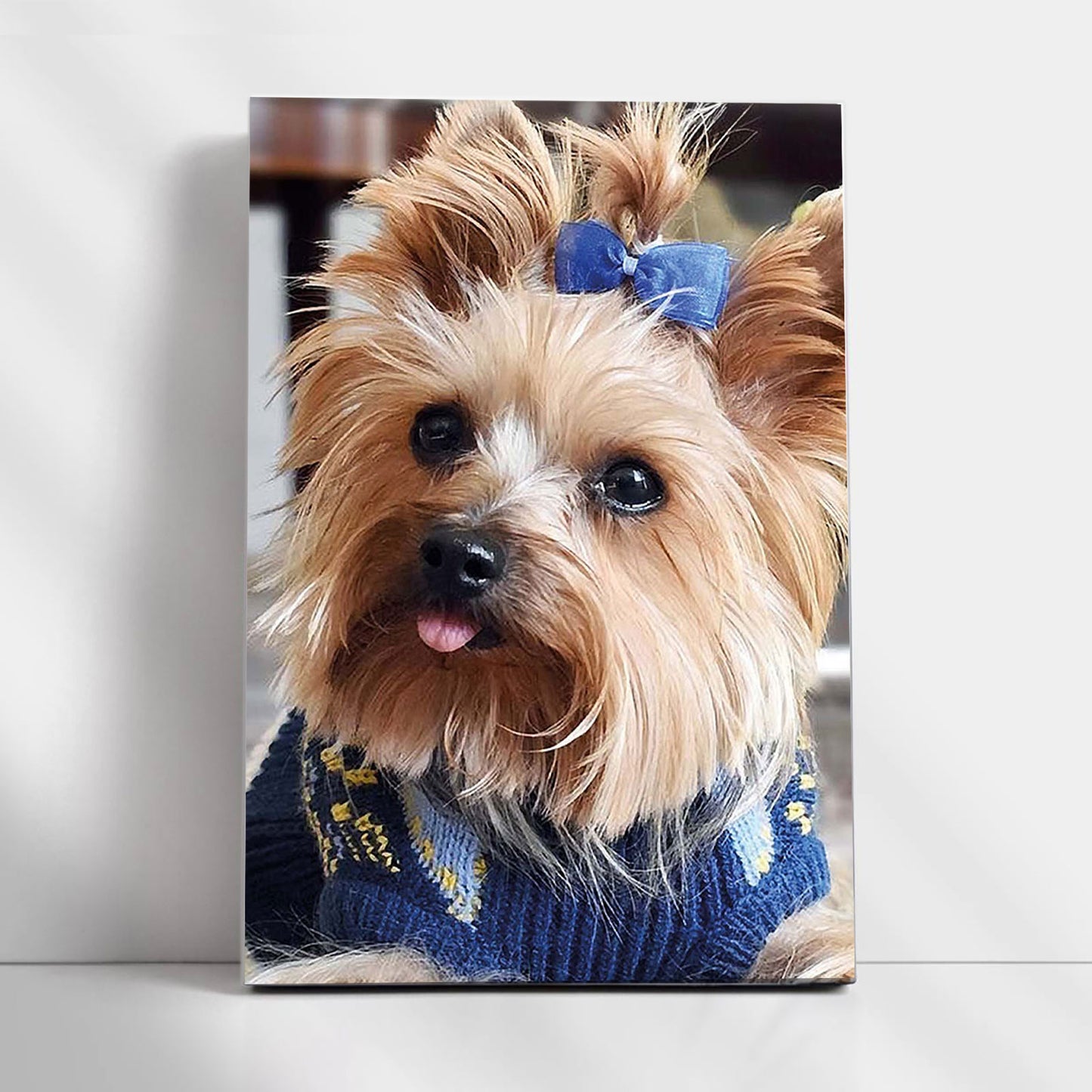 Fluffy Fashionista