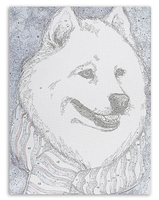 Fluffy White Dog