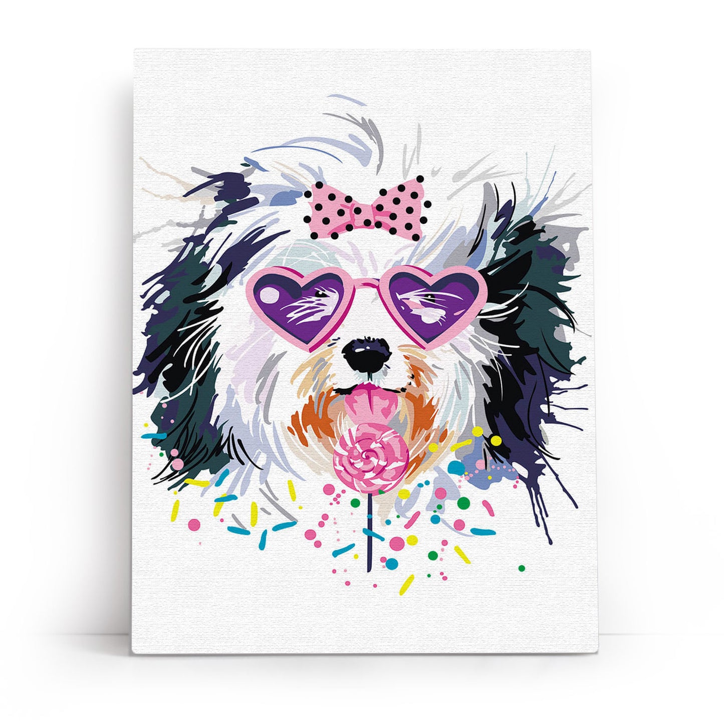 Stylish Yorkie
