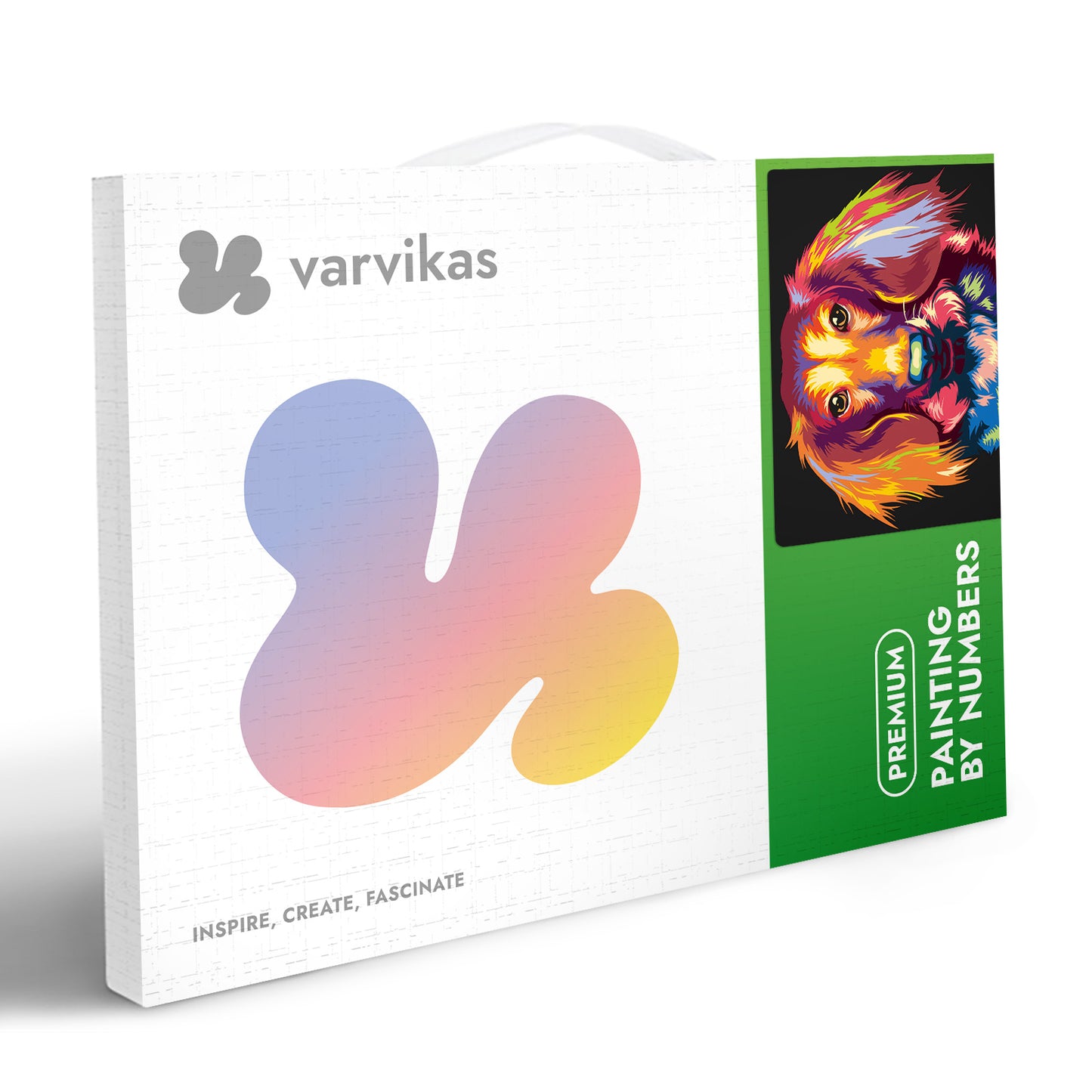 Through the Eyes of a Dachshund