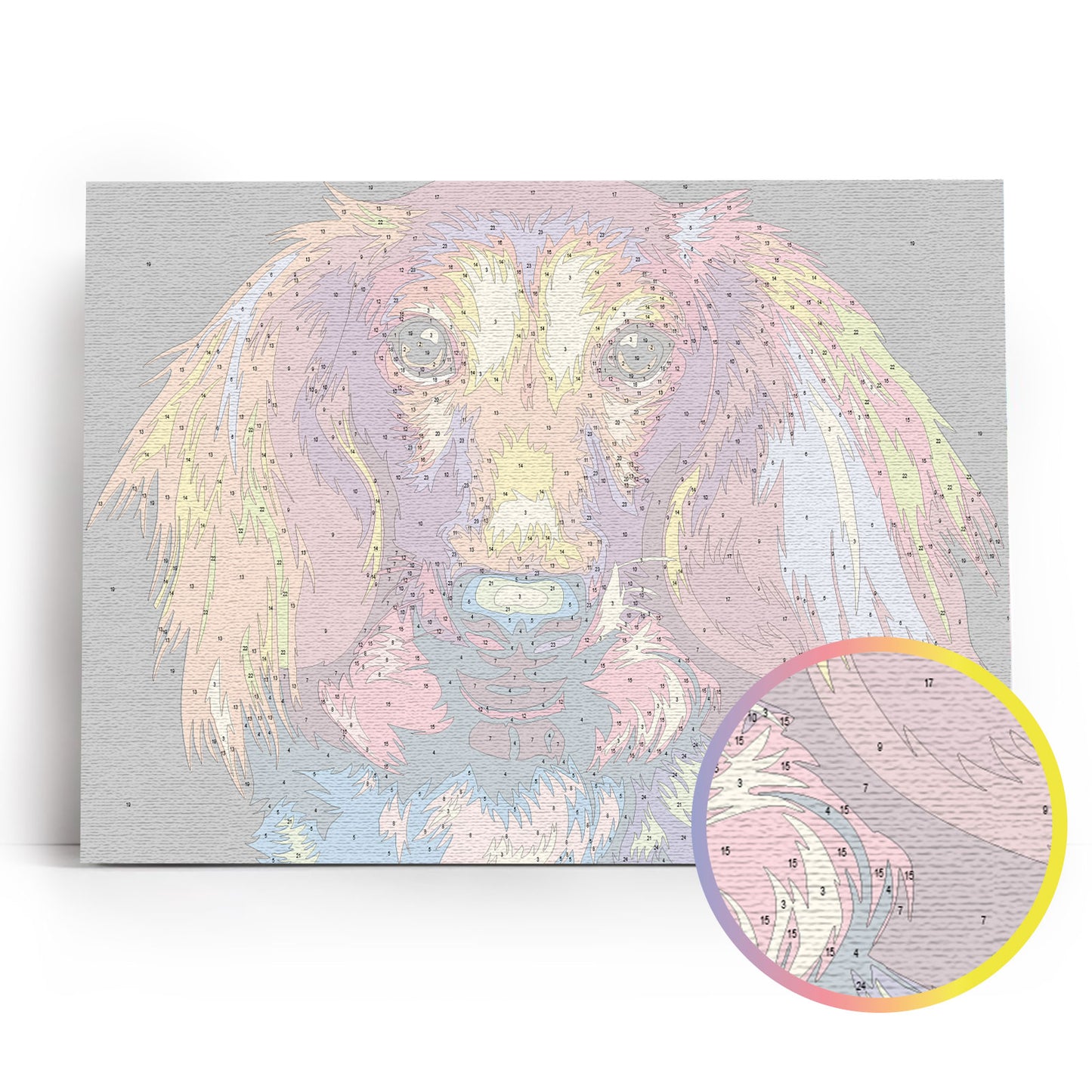 Through the Eyes of a Dachshund