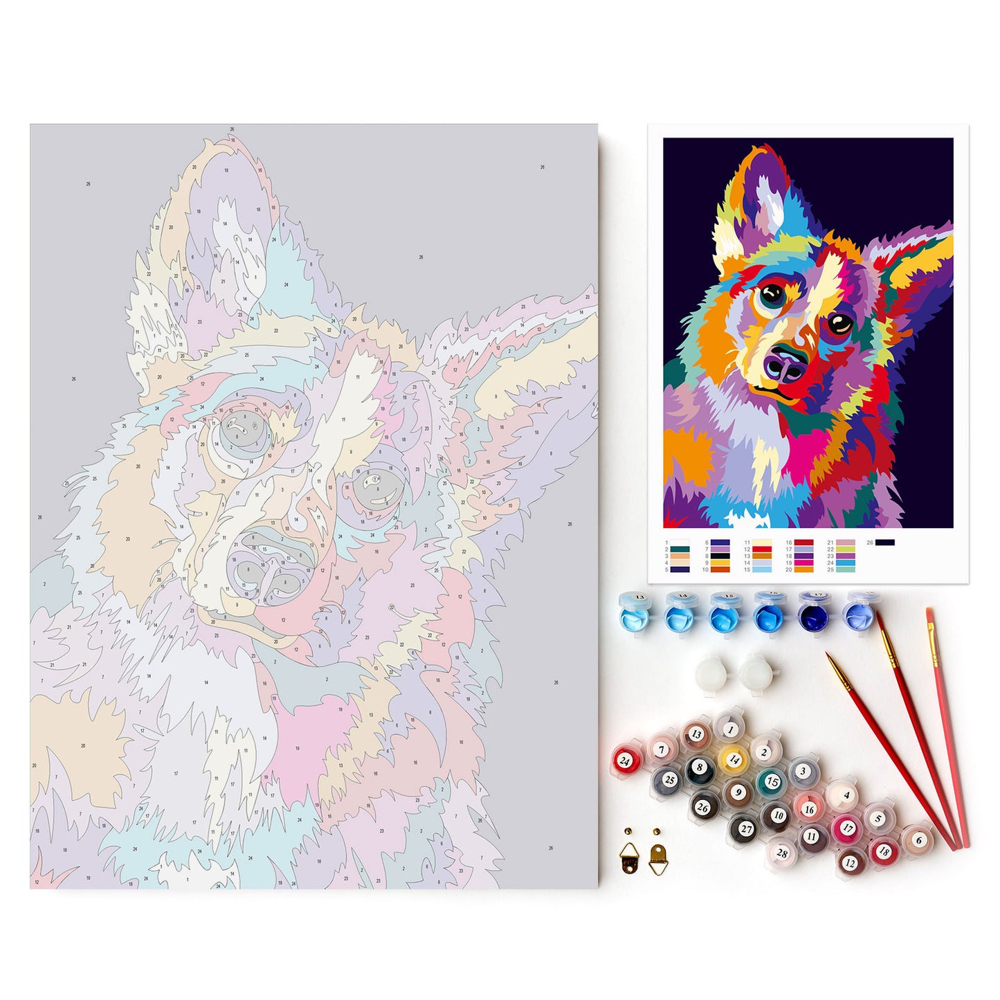 Through the Eyes of a Corgi