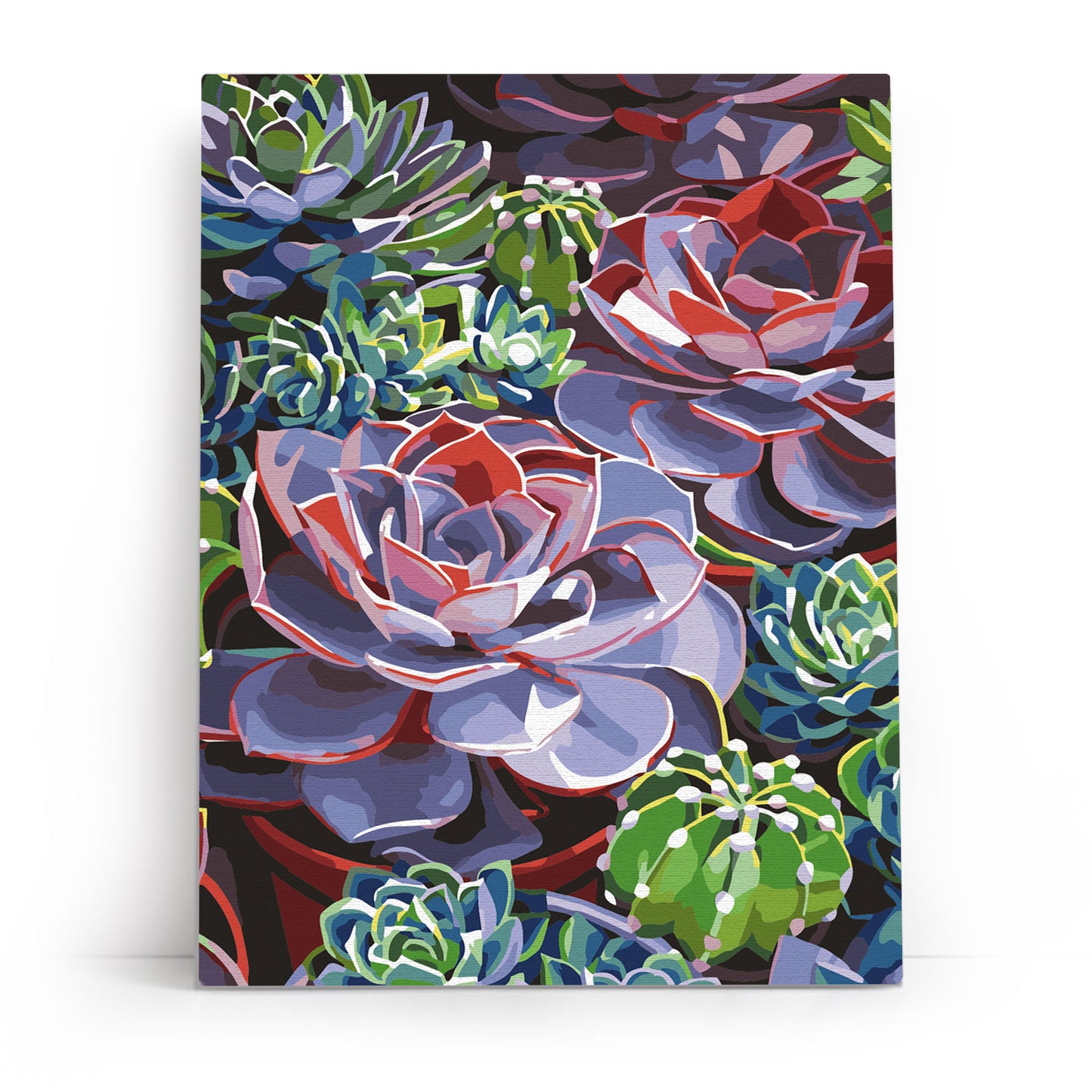 Succulent