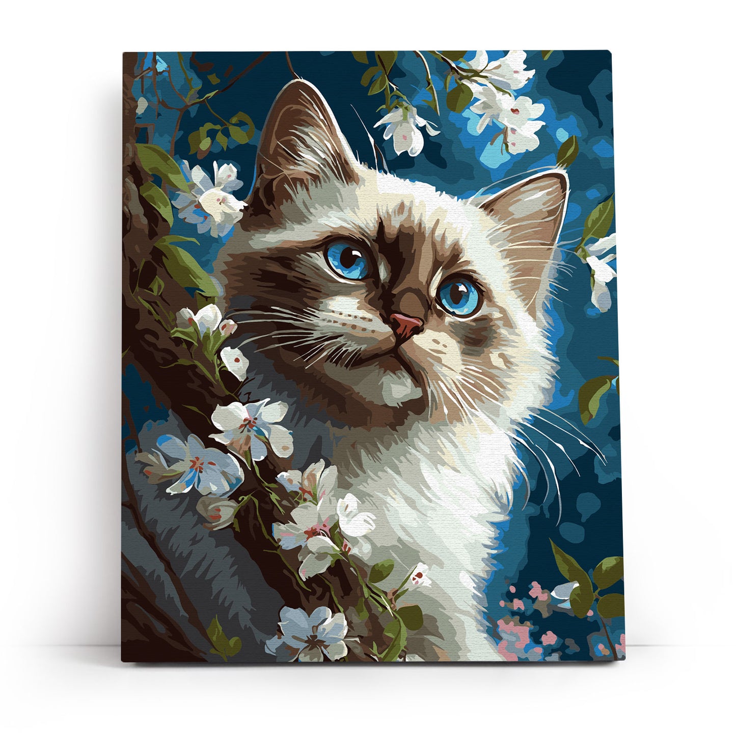 Cat's Harmony