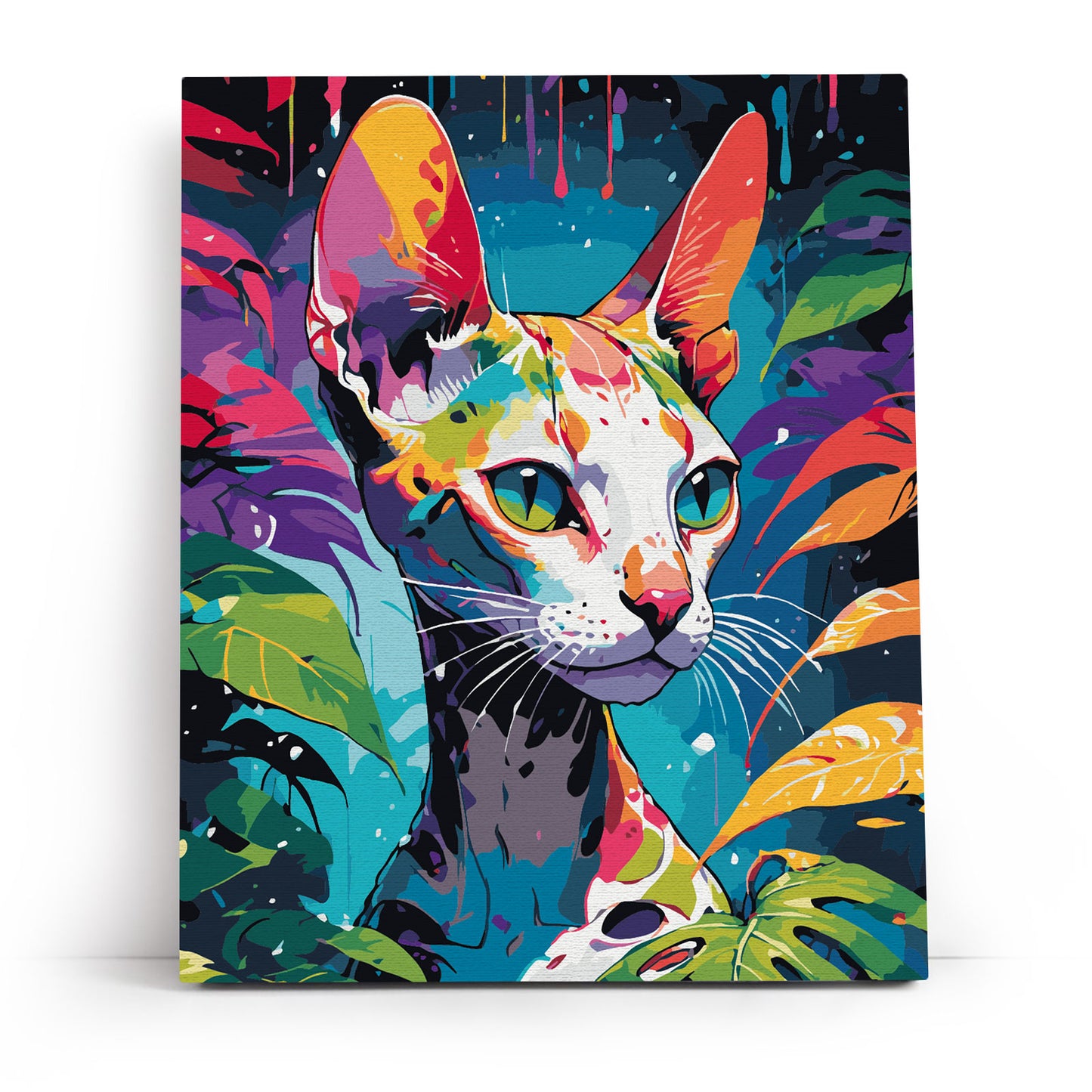 Tropical Sphynx