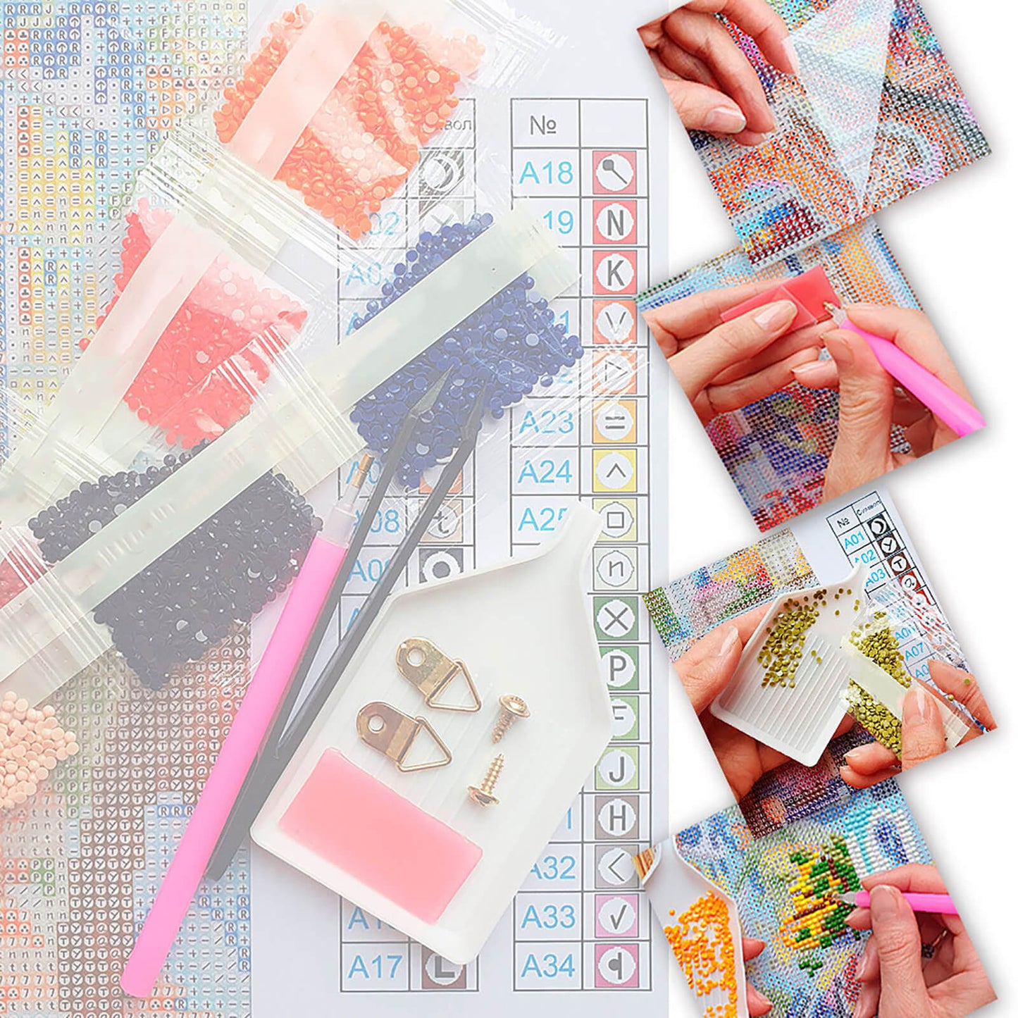 Butterfly on a Flower