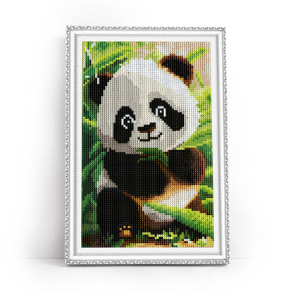 Cute panda