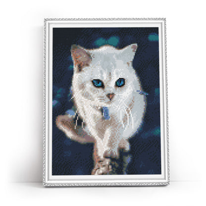 Blue-eyed fluffy kitten