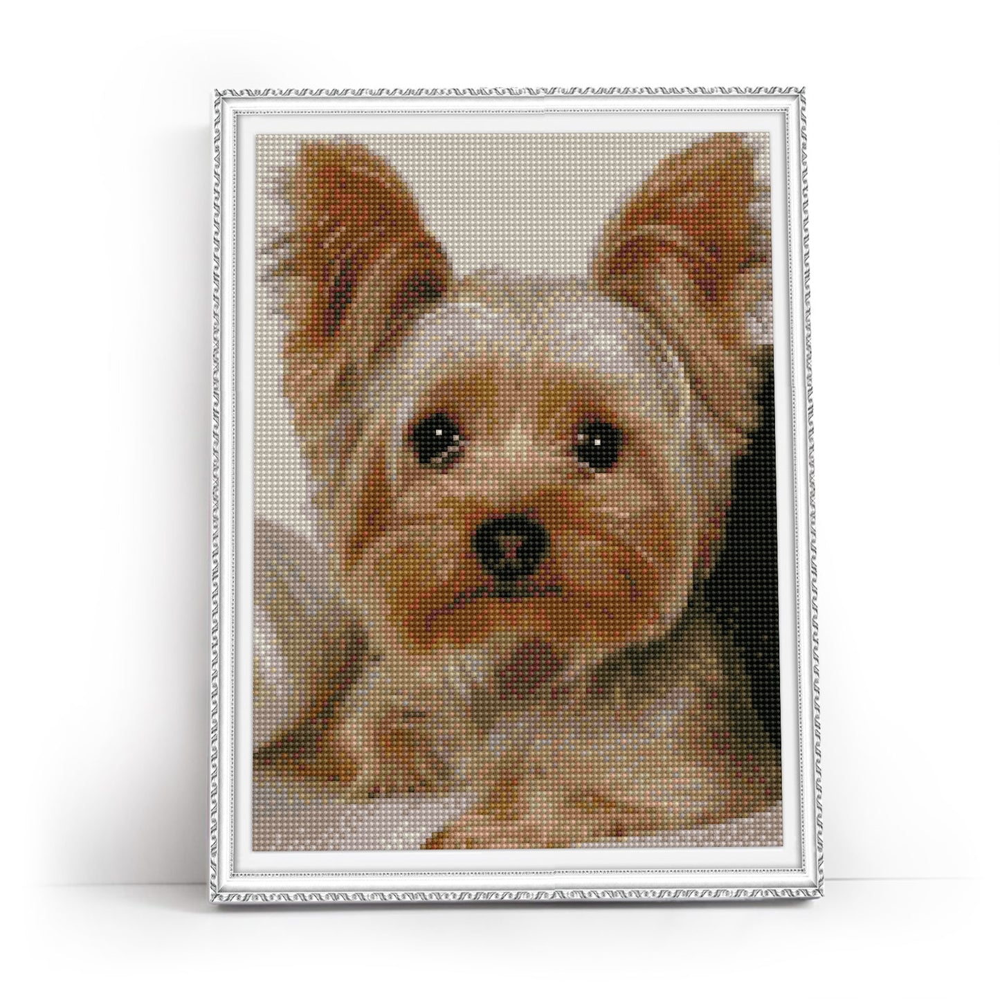 Faithful friend