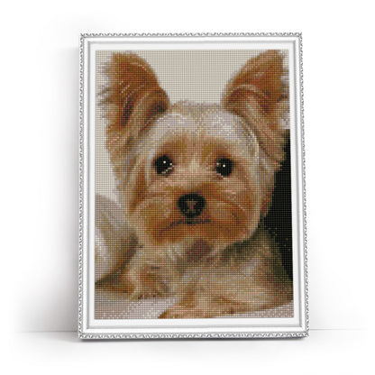 Faithful friend