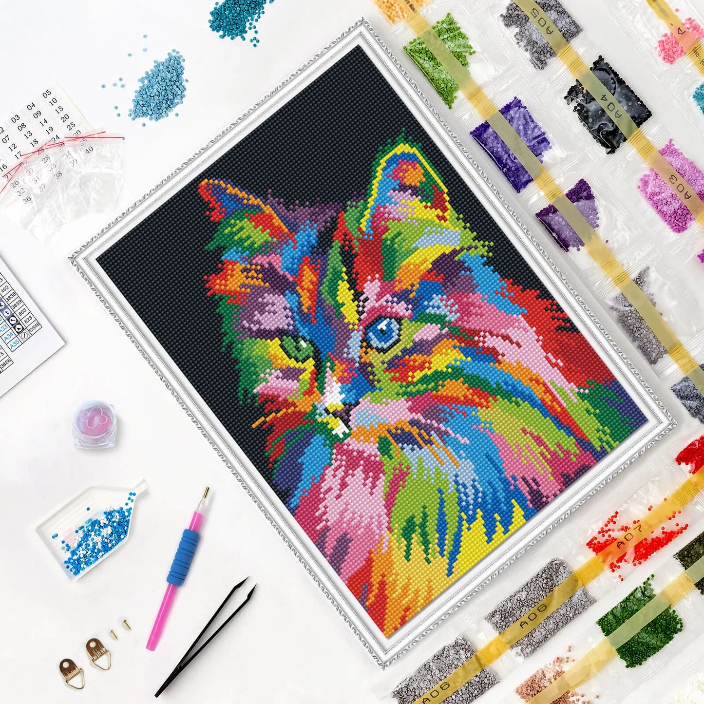 Through the Eyes of a Cat