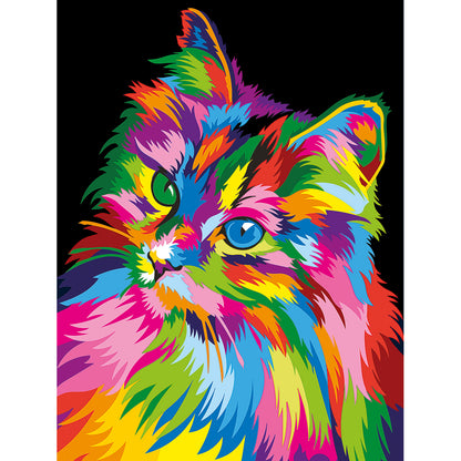 Through the Eyes of a Cat