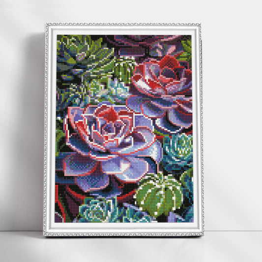 Succulent