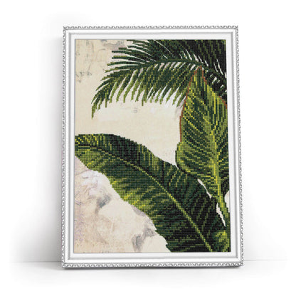 Tropics