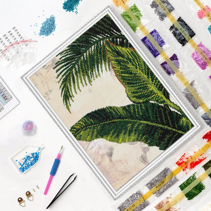 Tropics
