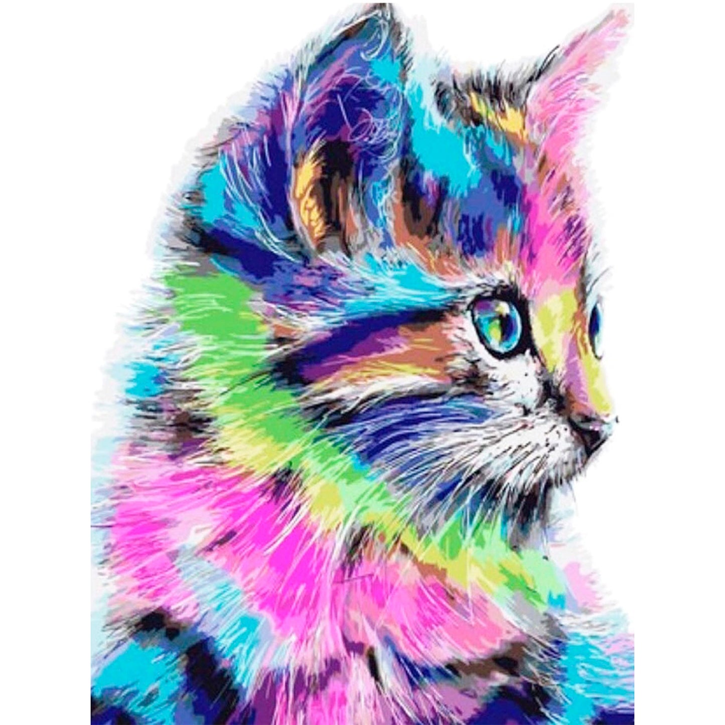 Colorful Kitten