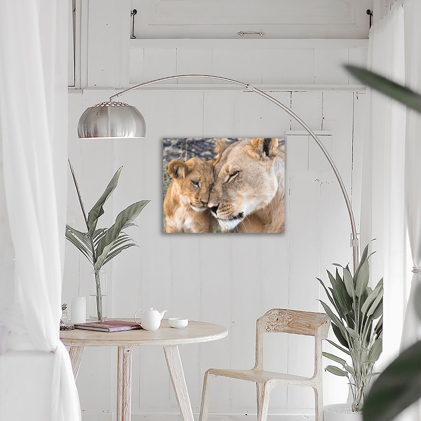 Loving Lioness