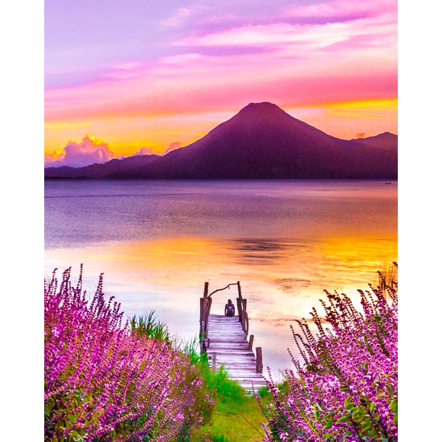 Lilac Sunset