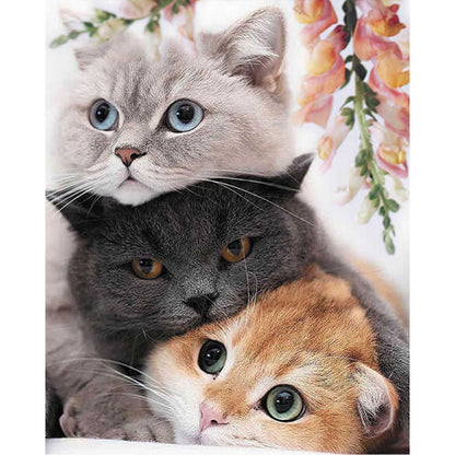 Three Kittens