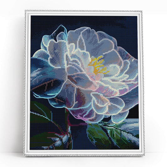 Peony Bloom