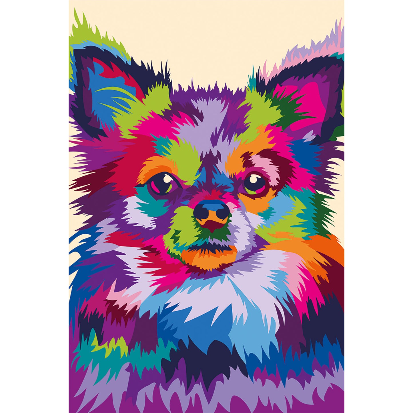 Through the Eyes of a Chihuahua