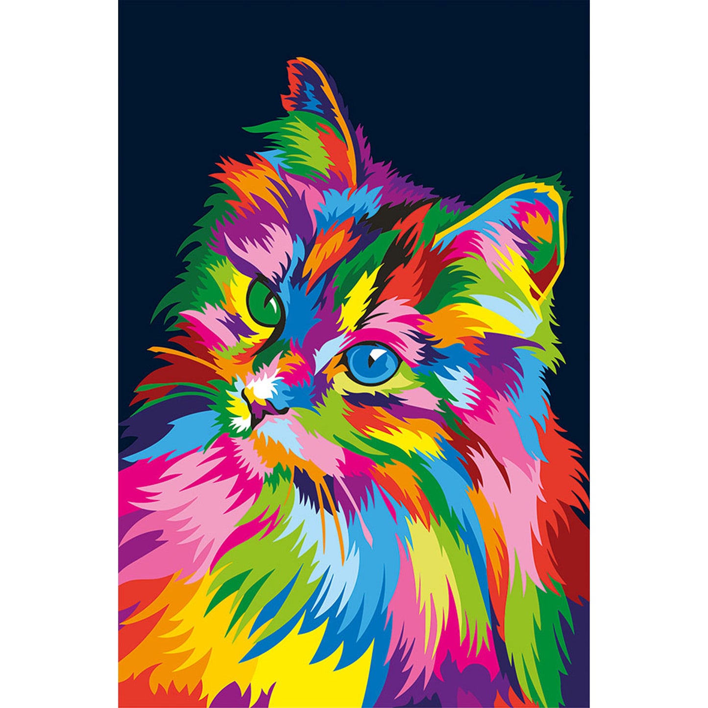 Through the Eyes of a Cat