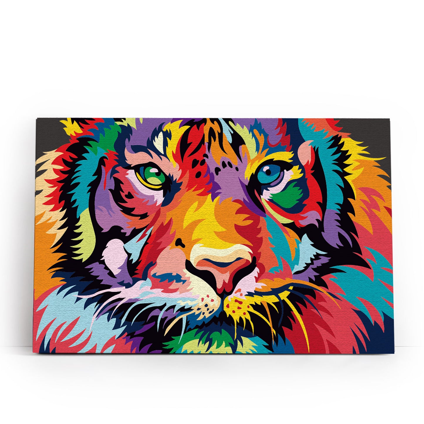 Through the Eyes of a Tiger