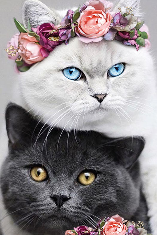 Yin and Yang