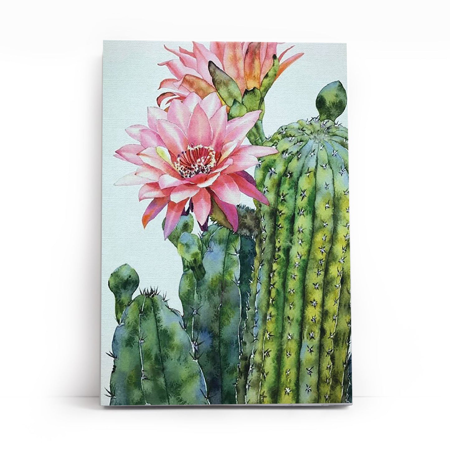 Blossoming Cactus