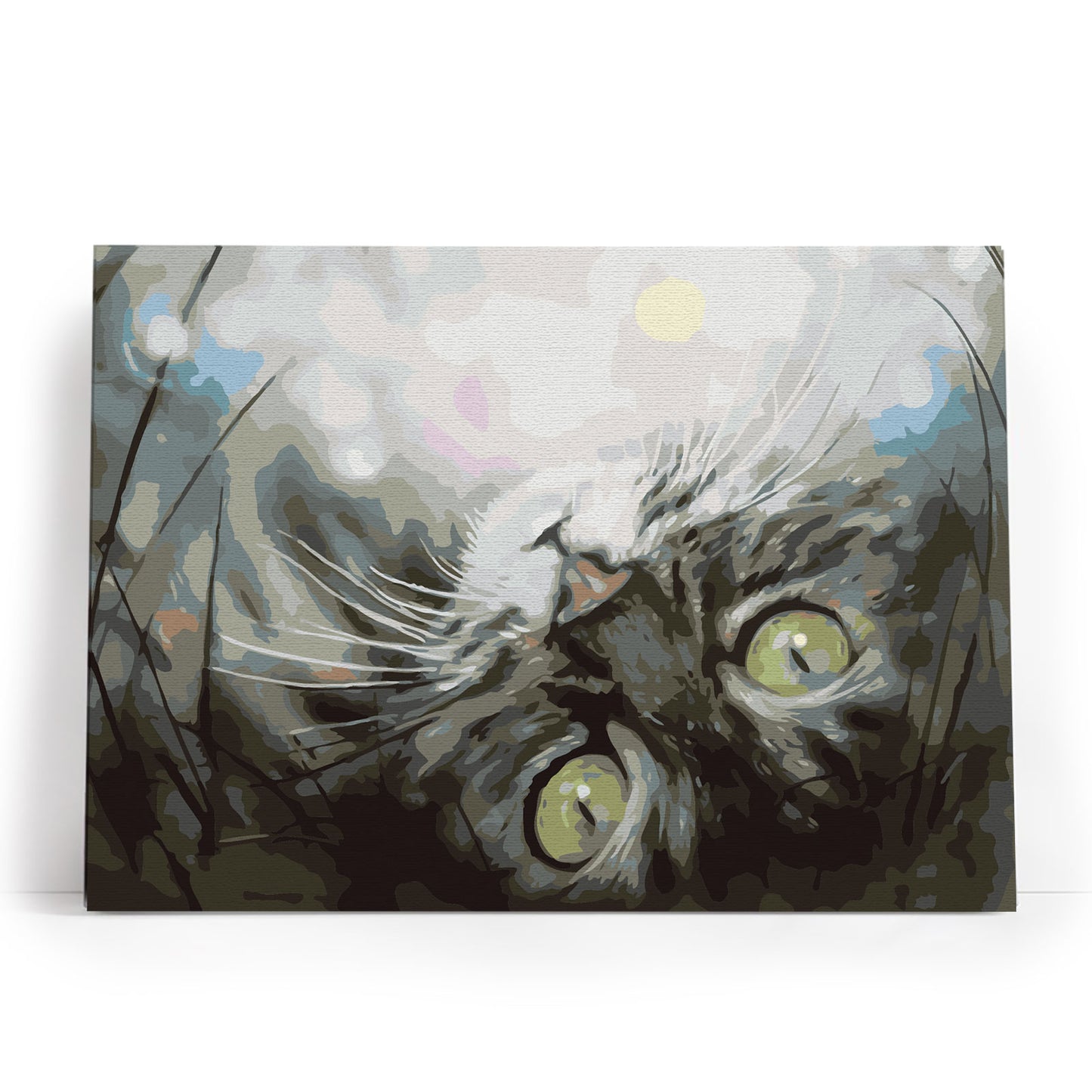 Dreaming Kitten