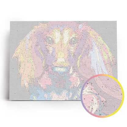 Through the Eyes of a Dachshund