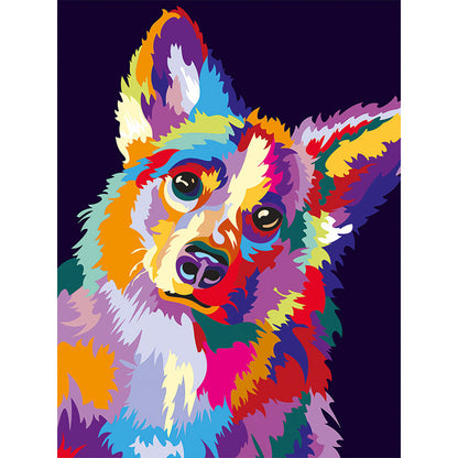 Through the Eyes of a Corgi