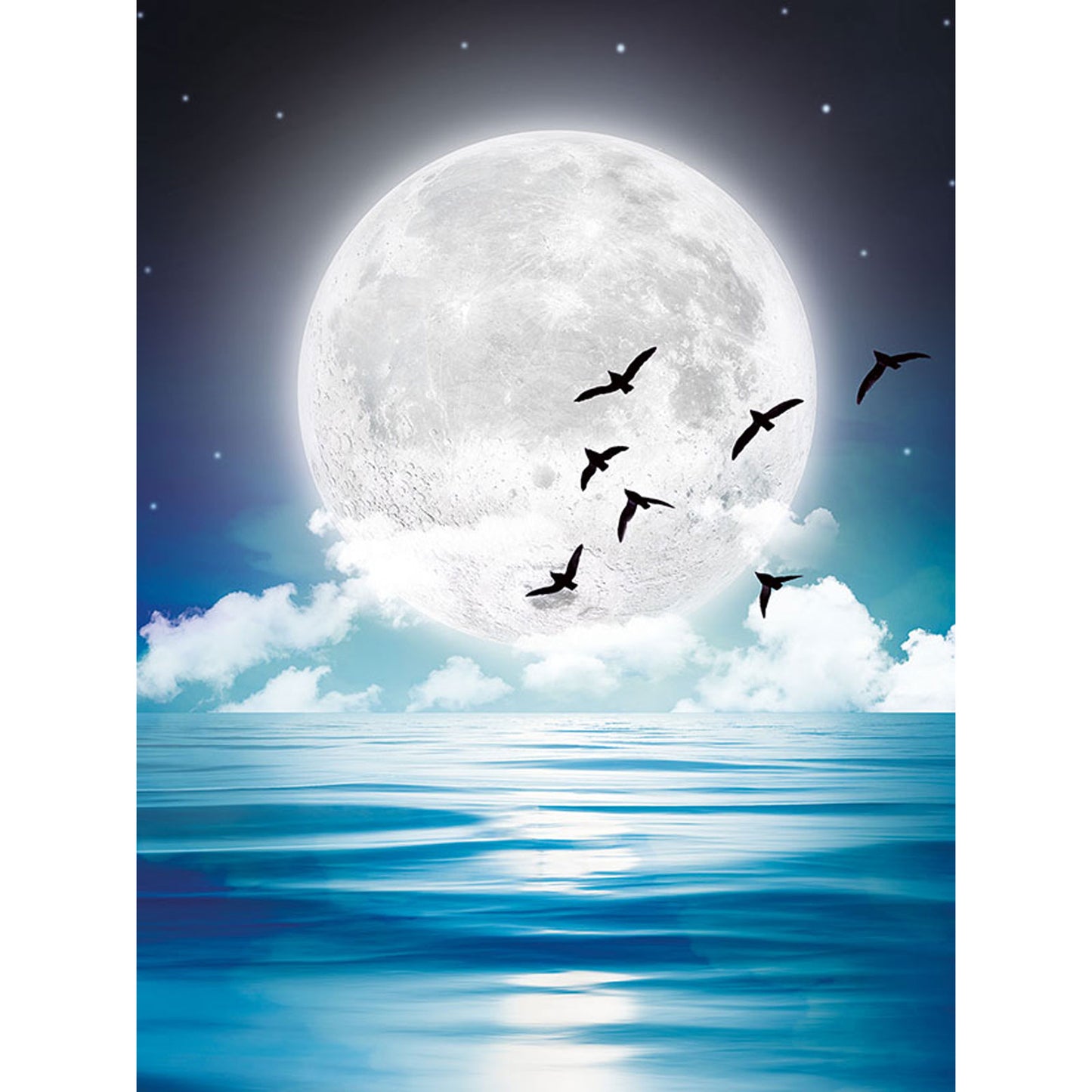 In the Moonlight