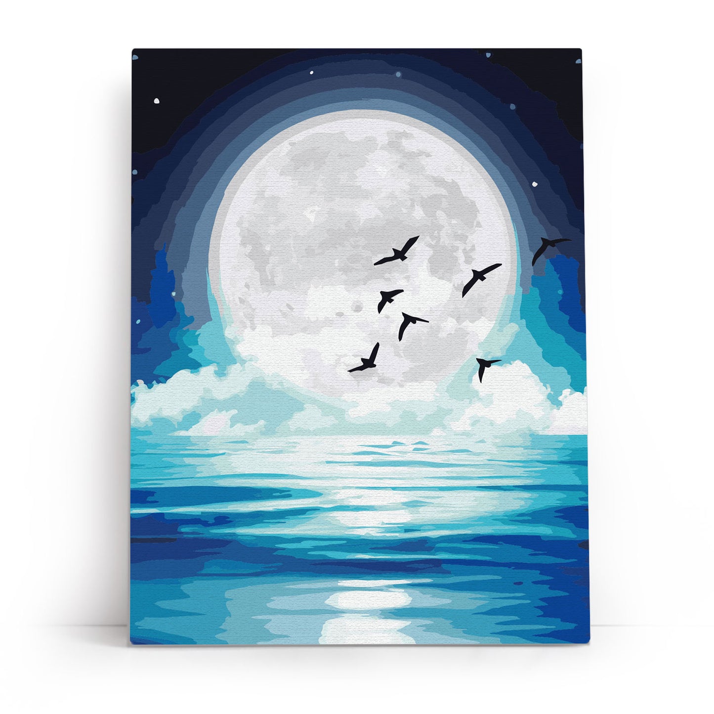 In the Moonlight