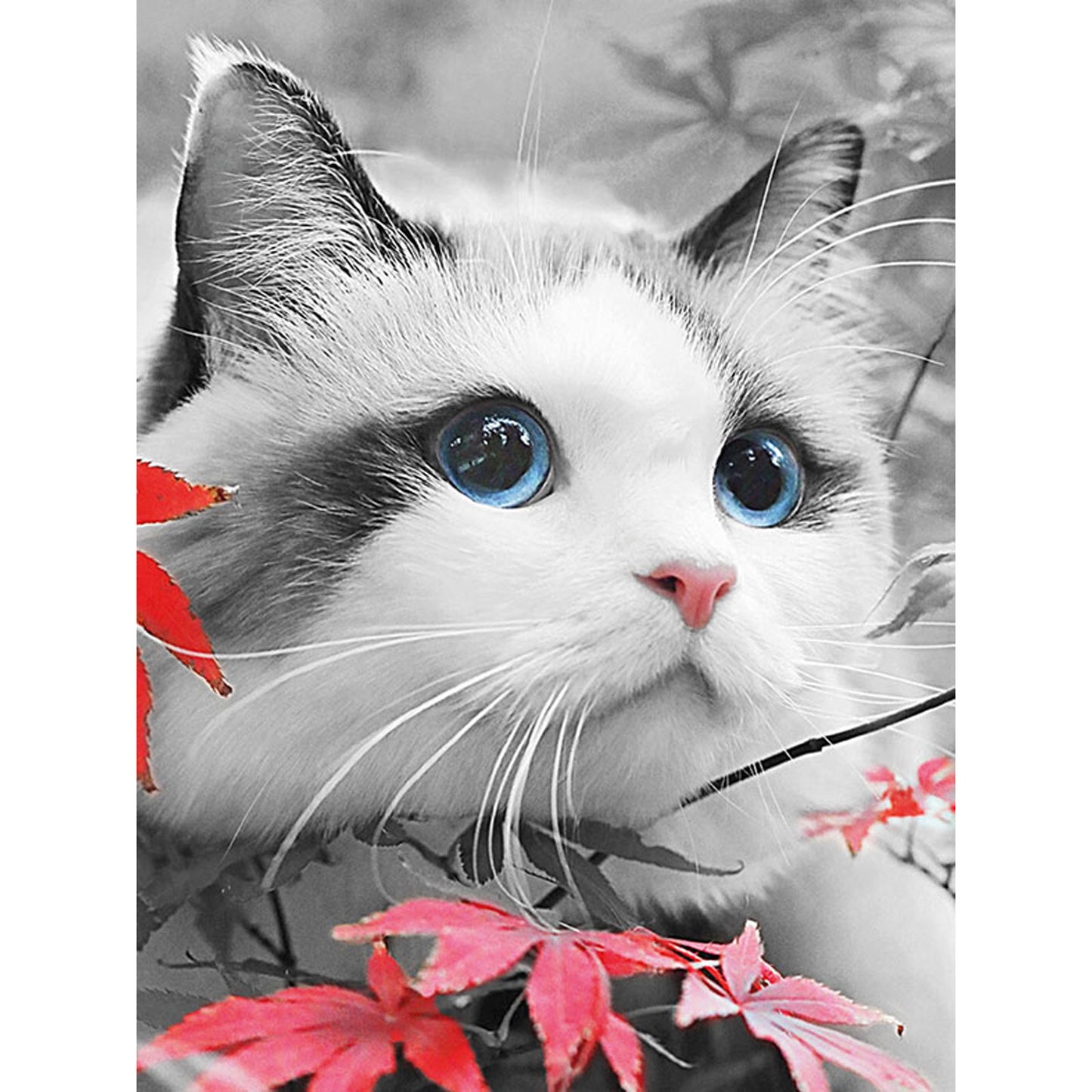 Blue Eyes