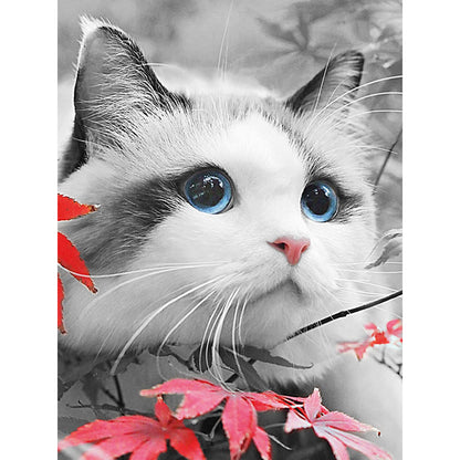 Blue Eyes
