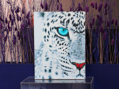 Leopard Stare