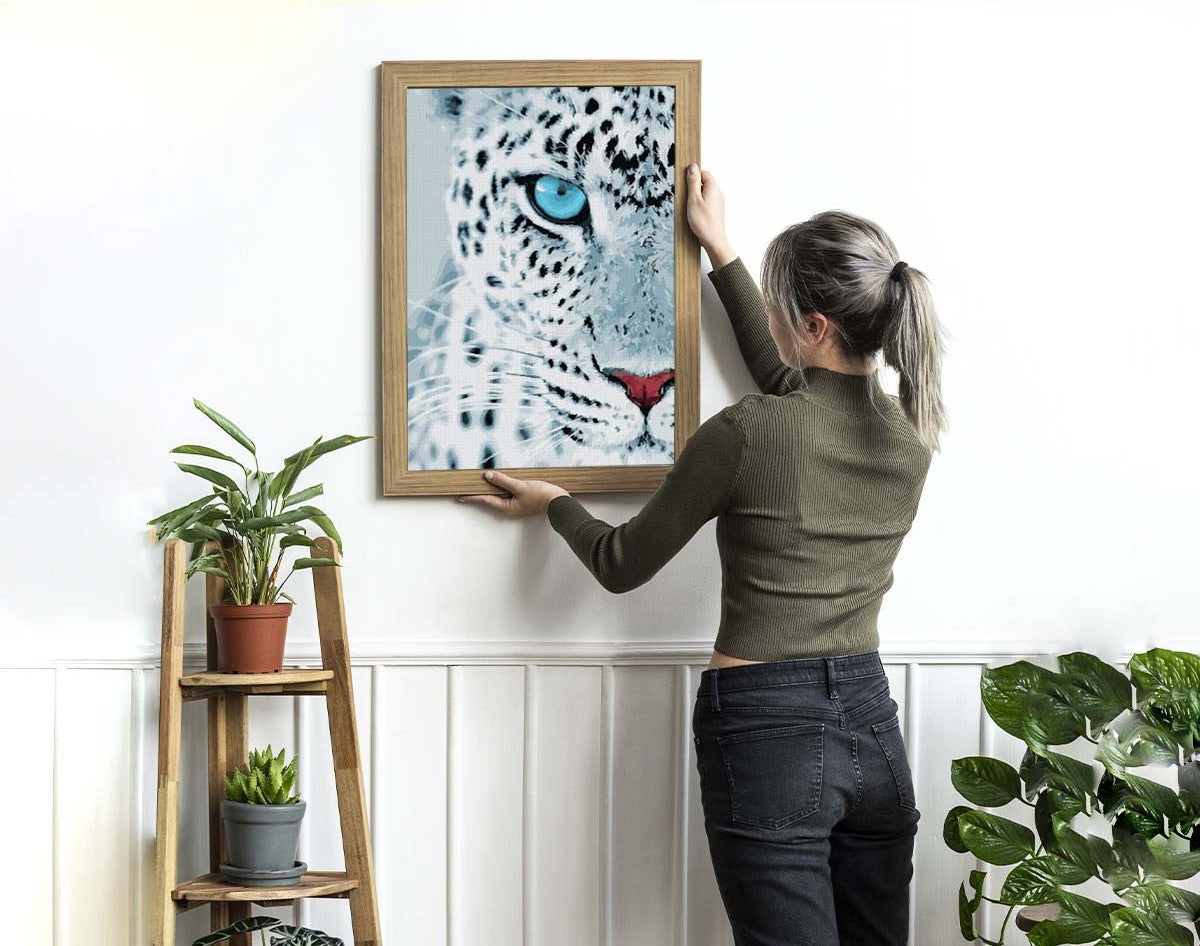 Leopard Stare