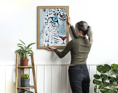 Leopard Stare