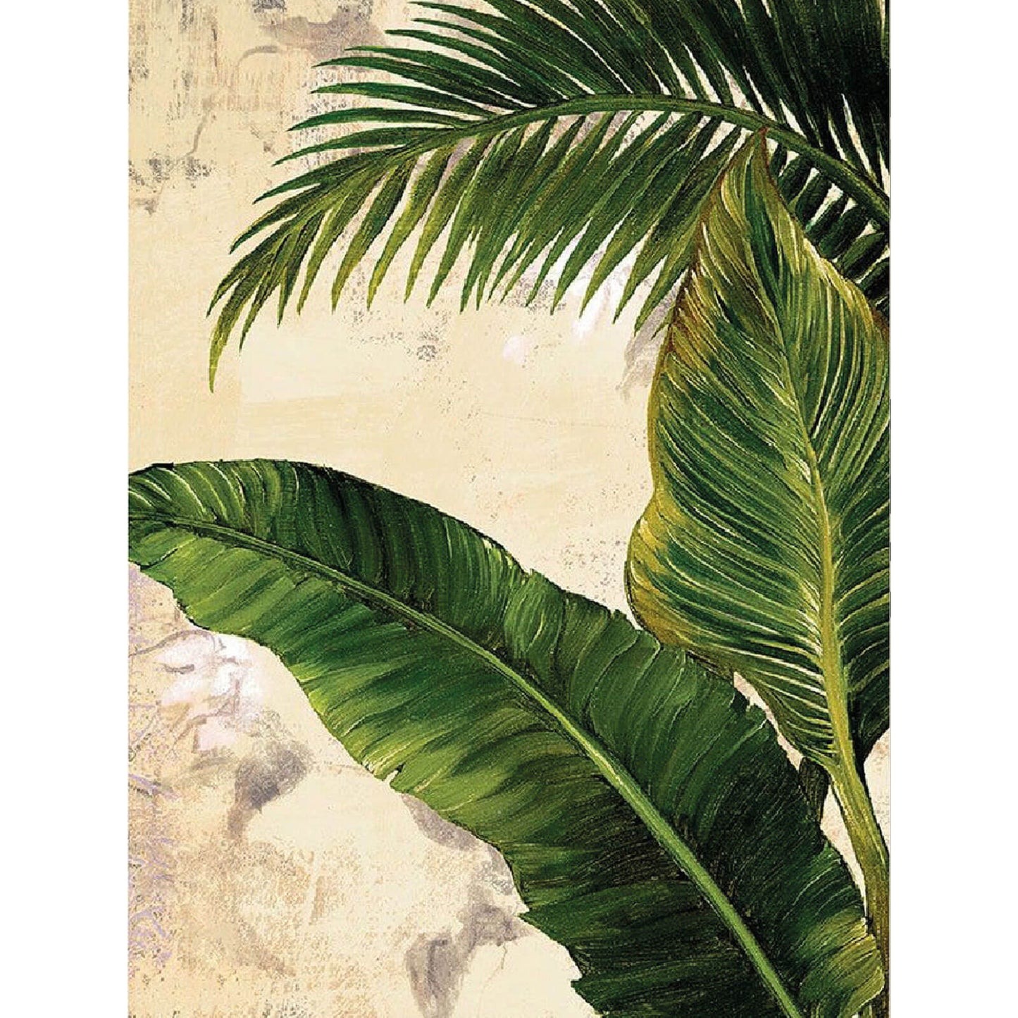Tropics