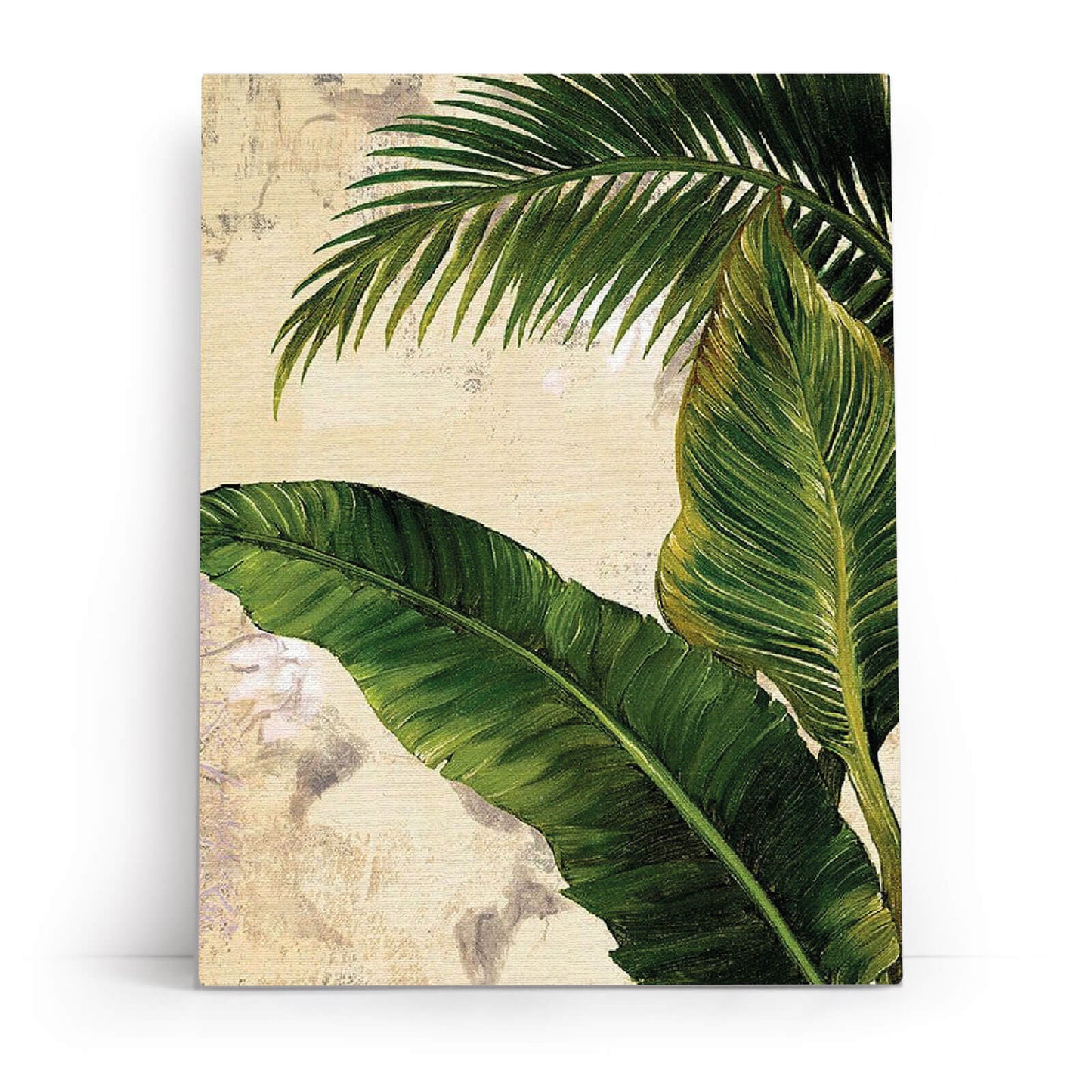 Tropics
