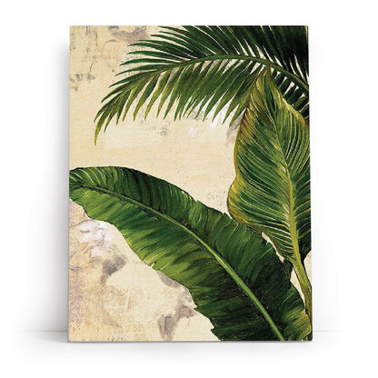 Tropics