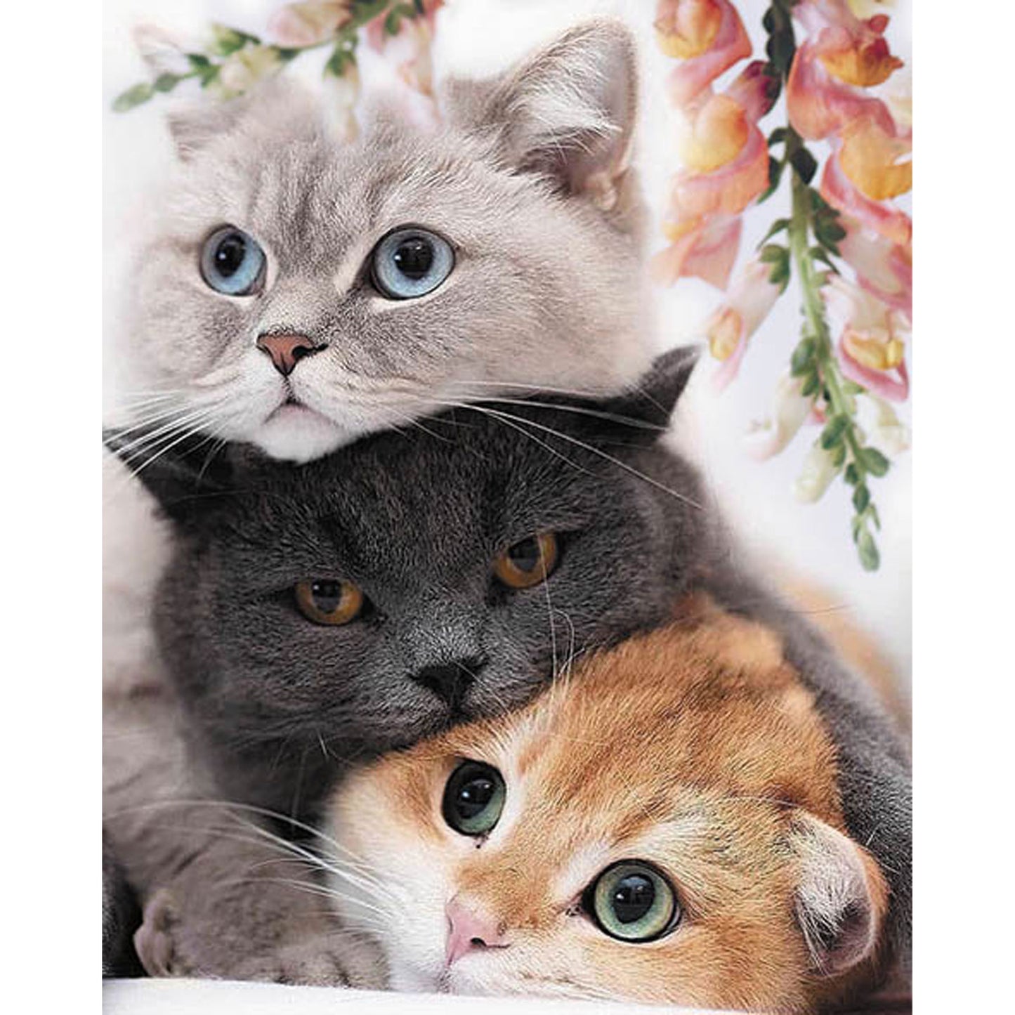Three Kittens