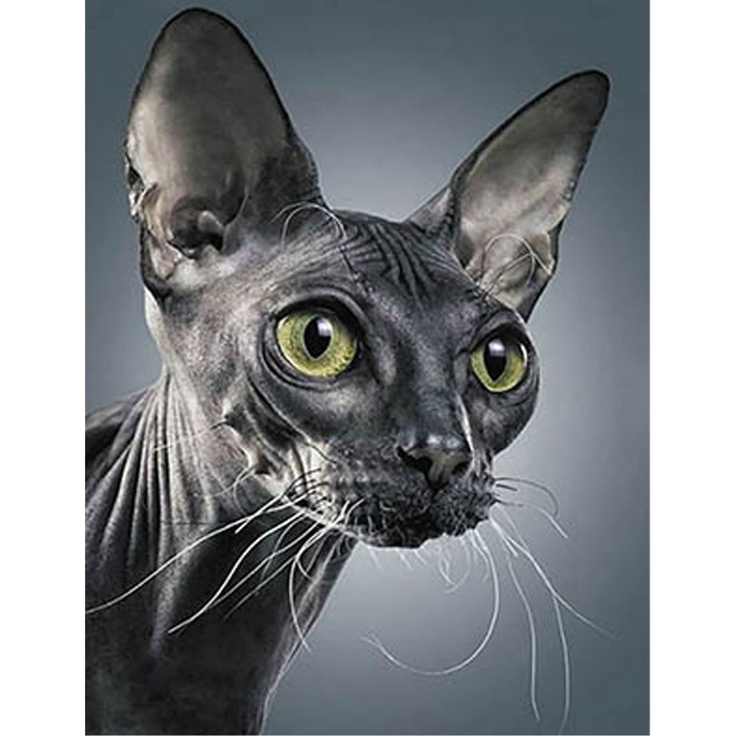 Mystical Sphinx