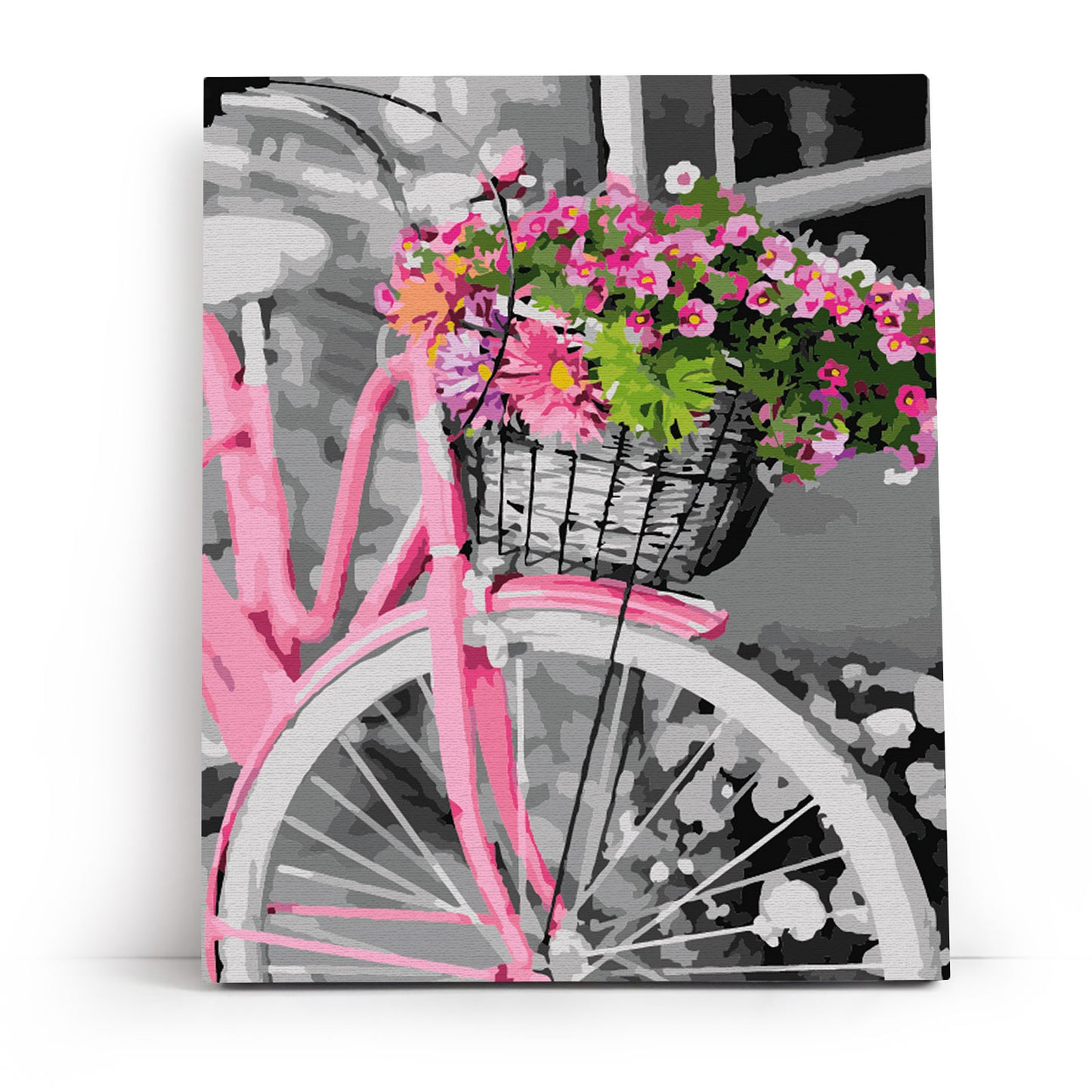 Pink Bicycle