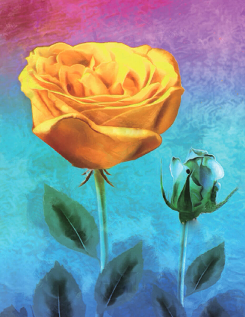Yellow Rose