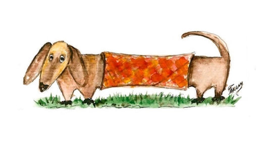 Dachshund Lilo